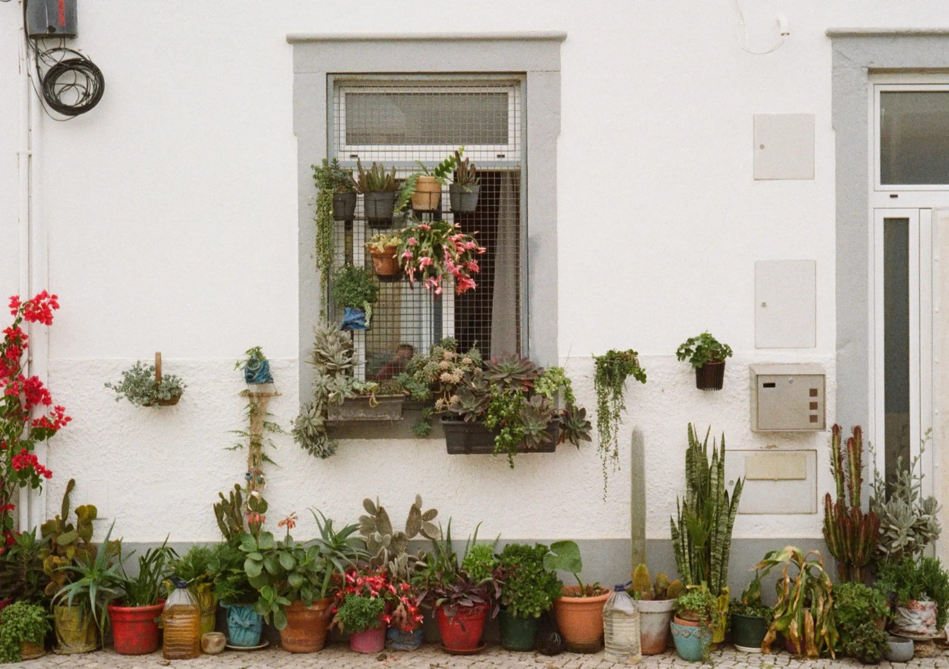 HouSes & CiTies